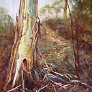 'Portrait of a Eucalypt' by Lynda Robinson