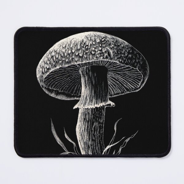 Item preview, Agaricus macrosporus mushroom (scraperboard) designed and sold by Painting By Nature.