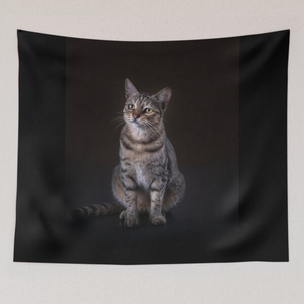 Item preview, Street Cat Cute & Lovely Pet  designed and sold by Tmart123.