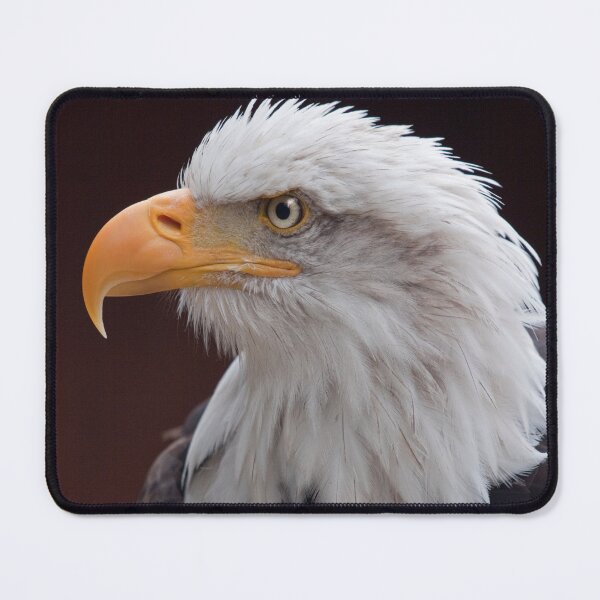 Item preview, Proud Eagle designed and sold by Krys Bailey.