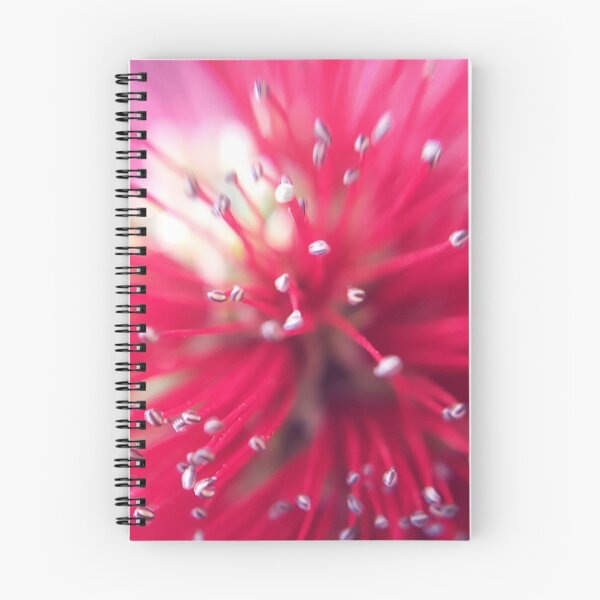 Item preview, Firework designed and sold by Coincidences.