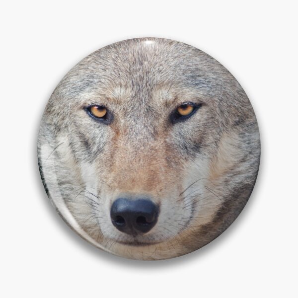 Item preview, Grey Wolf designed and sold by Krys Bailey.