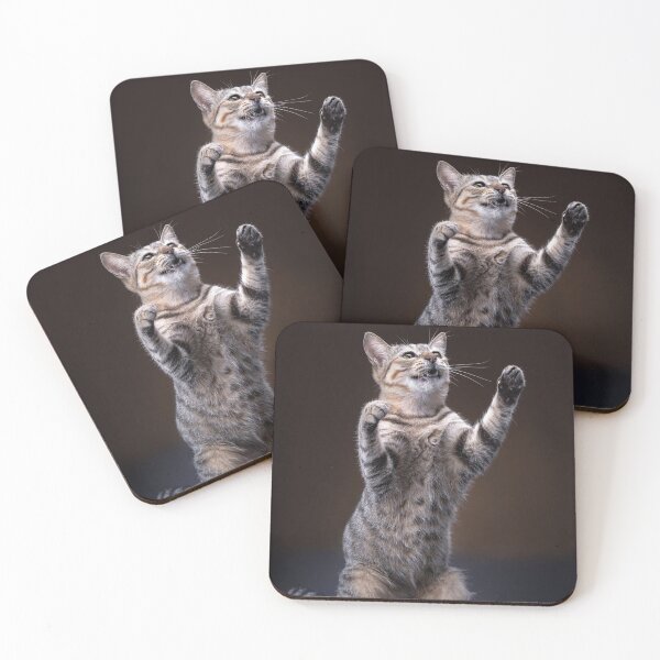 Artikelvorschau, lustige Straßenkatze Foto entworfen und verkauft von Tmart123.