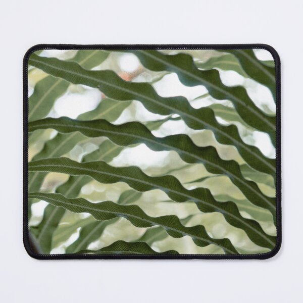 Item preview, Criss-Crossing Fern Leaves designed and sold by E-Elemental.