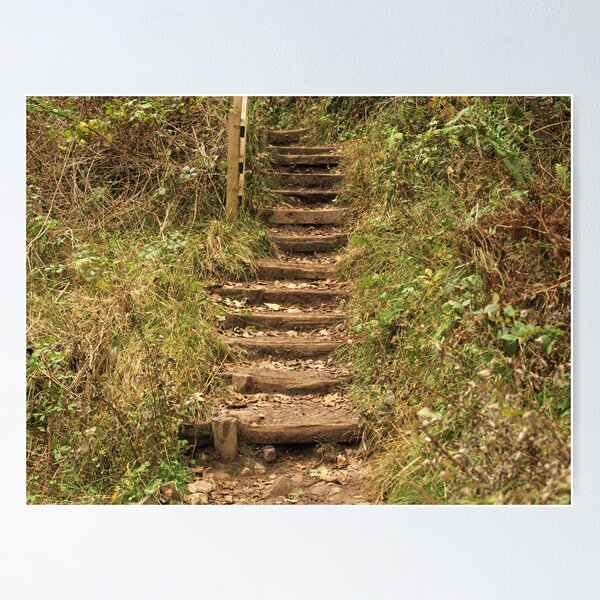 Item preview, Rustic Steps designed and sold by francophotos.