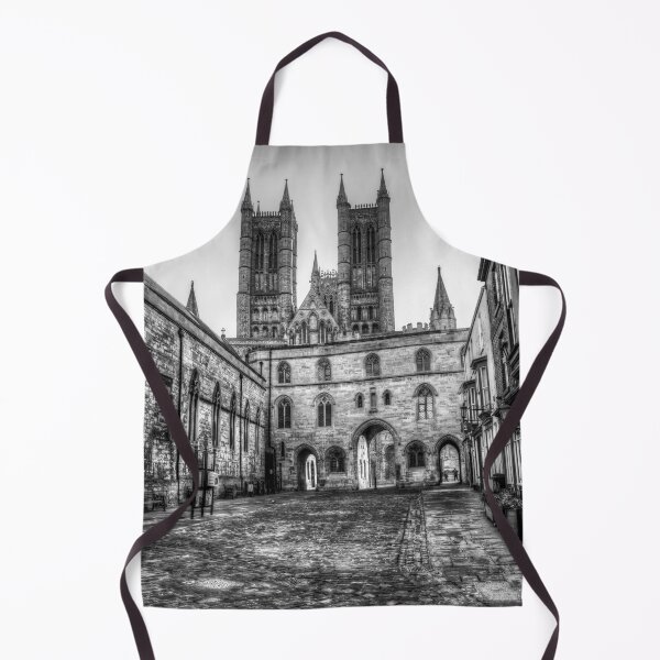 Artikelvorschau, Kathedrale von Lincoln und Bailgate, Schwarzweiß entworfen und verkauft von Paul Thompson Photography.