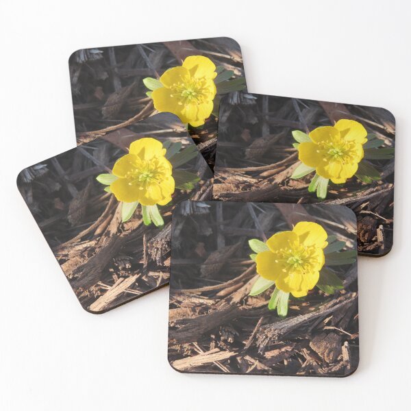 Item preview, Winter Aconite Flower designed and sold by Kathleen Brant.