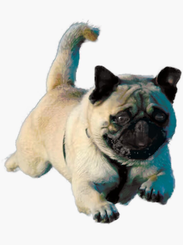 Jumping pug clearance