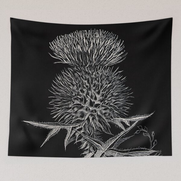 Item preview, Scottish Spear Thistle (scraperboard) designed and sold by Painting By Nature.