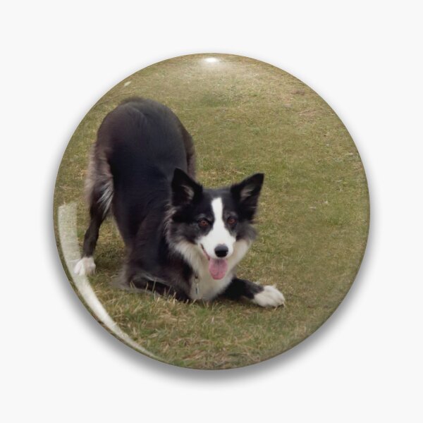 Item preview, St Piran Day Dog designed and sold by Terri Waters Photography & Design.