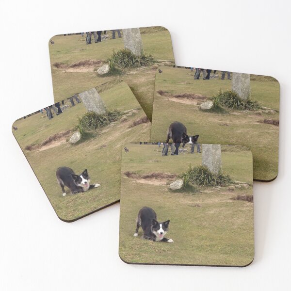Item preview, St Piran Day Dog designed and sold by Terri Waters Photography & Design.