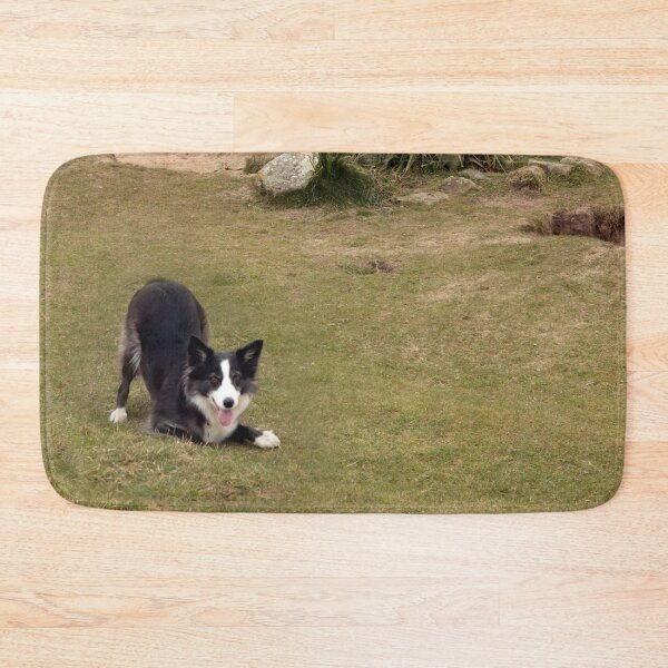 Item preview, St Piran Day Dog designed and sold by Terri Waters Photography & Design.