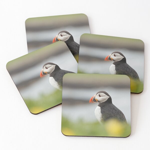 Item preview, Atlantic Puffin designed and sold by heidipics.