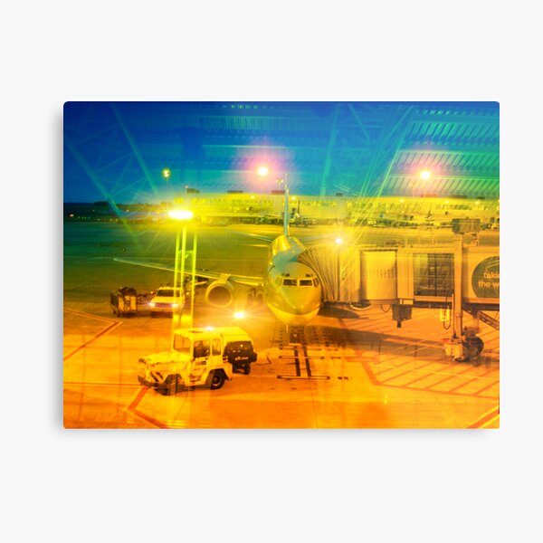 plane Metal Print