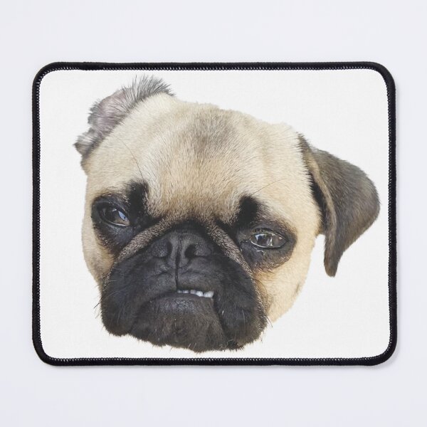 Item preview, Angry Pug Head designed and sold by AlexMancic.