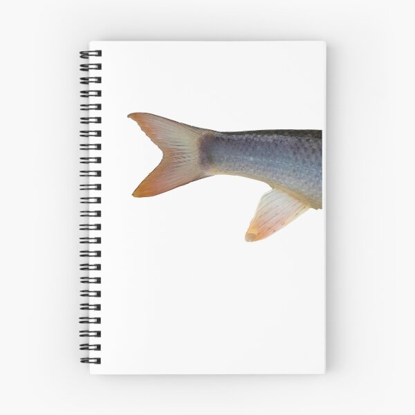 Item preview, Barbel fish tail, catch and release designed and sold by mary02.
