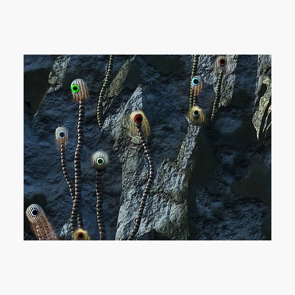Item preview, Eye Spy Cacti designed and sold by Luchare.