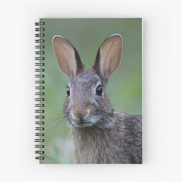 Item preview, Bunny face designed and sold by Linda Crockett.