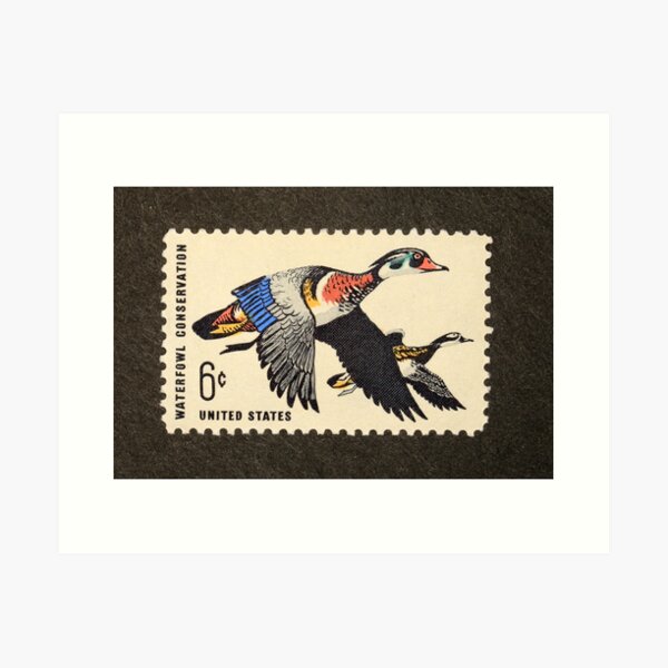 Item preview, 1968 6¢ Waterfowl Conservation Postage Stamp designed and sold by Chris Coates Photography.com.