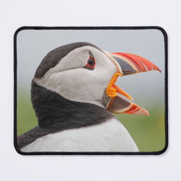 Item preview, Puffin Calling designed and sold by heidipics.