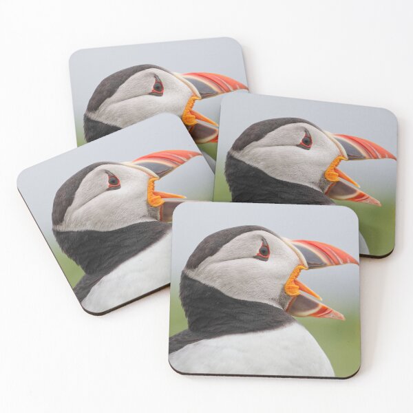Item preview, Puffin Calling designed and sold by heidipics.