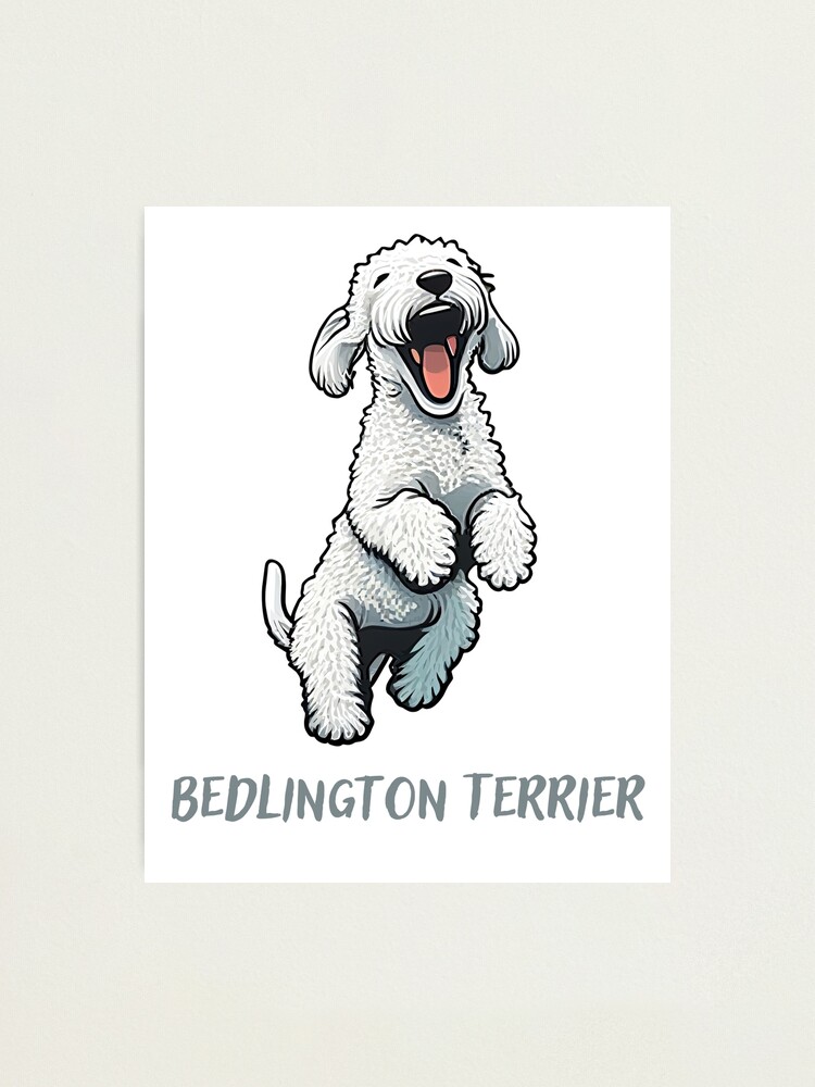 que tipo de pelaje tiene un bedlington terrier