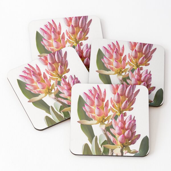 Item preview, Curcuma Flowers  designed and sold by Vanover Designs.