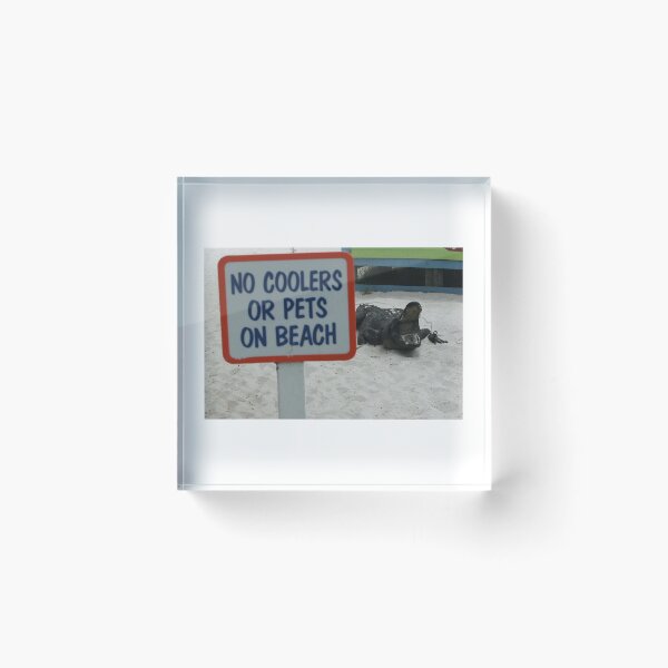 Item preview, No coolers or pets designed and sold by Margaret Shark.