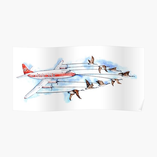 Air Canada Goose Poster