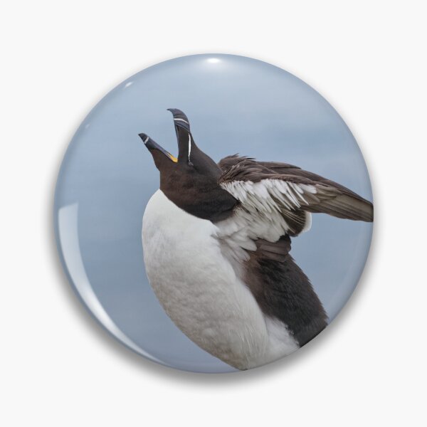 Item preview, Razorbill designed and sold by heidipics.