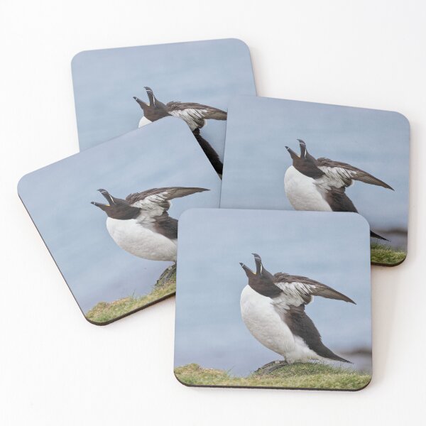 Item preview, Razorbill designed and sold by heidipics.