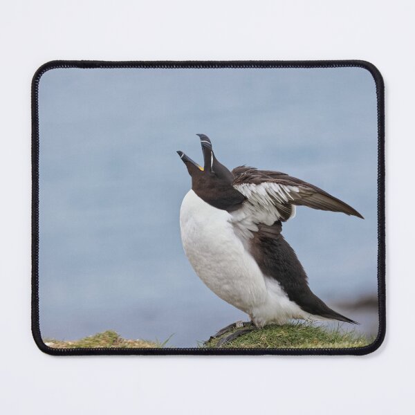 Item preview, Razorbill designed and sold by heidipics.