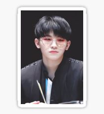 Seventeen - Lee Jihoon - Woozi Sticker