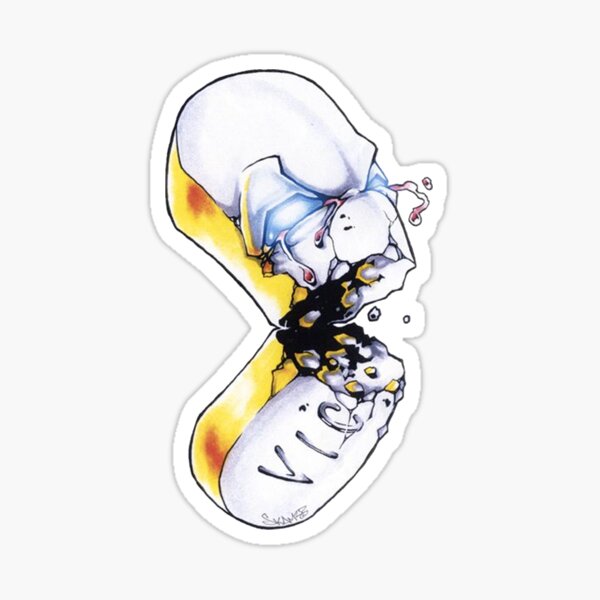 Pilule Eminem Vicodin - Slim Shady LP Sticker