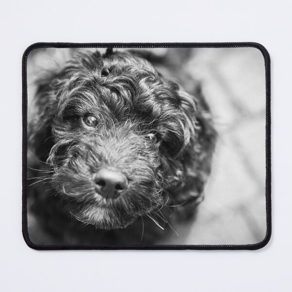 Item preview,  Cockerpoo Puppy designed and sold by Michelle Lovegrove.