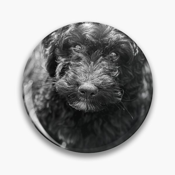 Item preview, Black Cocokerpoo Puppy designed and sold by Michelle Lovegrove.