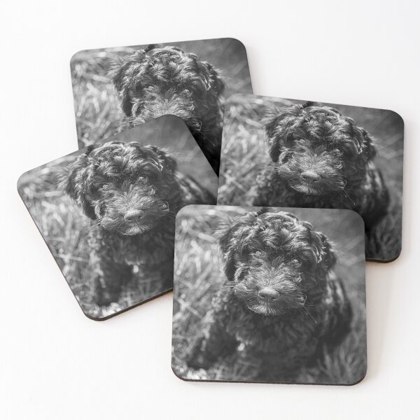Item preview, Black Cocokerpoo Puppy designed and sold by Michelle Lovegrove.