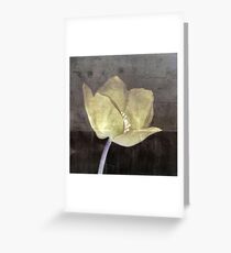Set in Stone Greeting Card