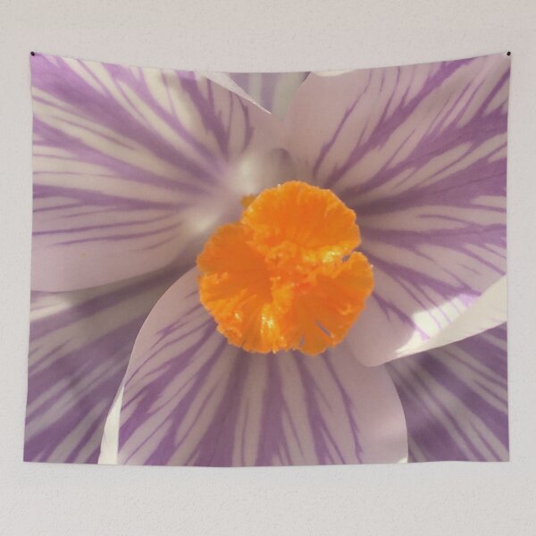 Item preview, crocus designed and sold by Robyn Thomas.