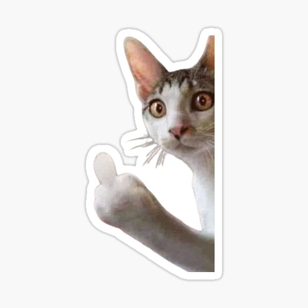 Don't Angry mew funny cat sticker Sticker for Sale by SFmerch