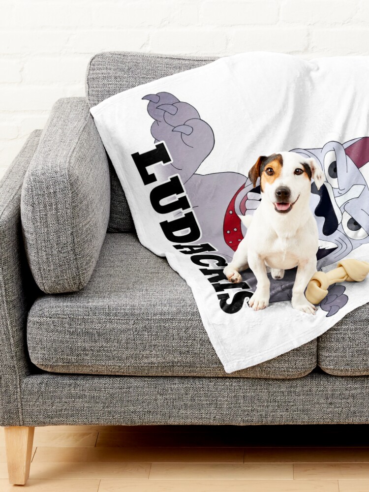 Dog 2024 mouthing blanket