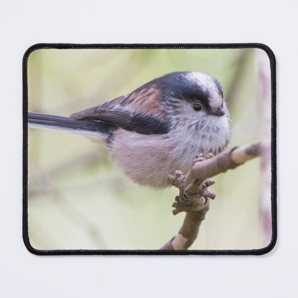 Item preview, Long Tailed Tit designed and sold by LaurenTucker.