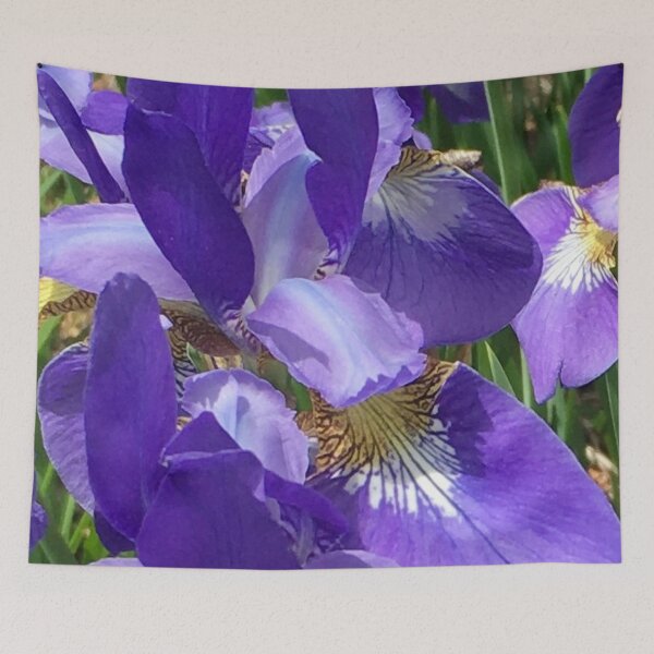Item preview, Siberian Irises designed and sold by Robyn Thomas.