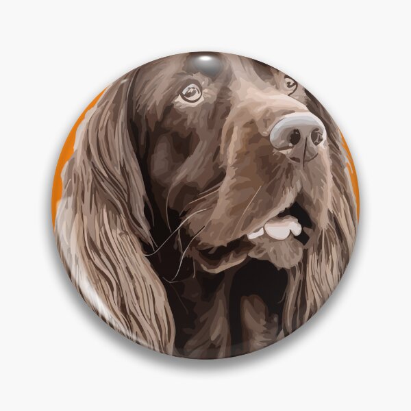 Item preview, Sussex Spaniel designed and sold by popupstands.