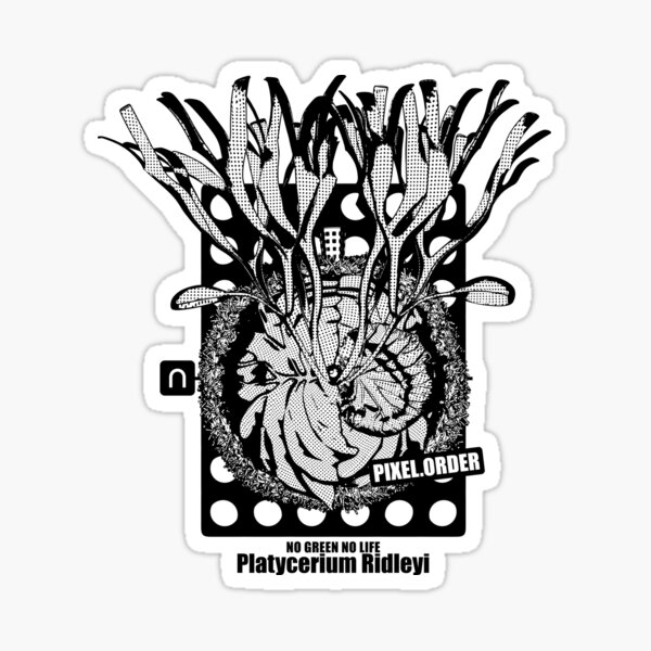 Platycerium_Ridleyi_Toon Sticker