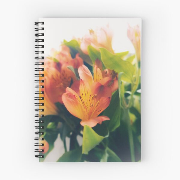 Item preview, Alstroemeria designed and sold by Ms-Bexy.