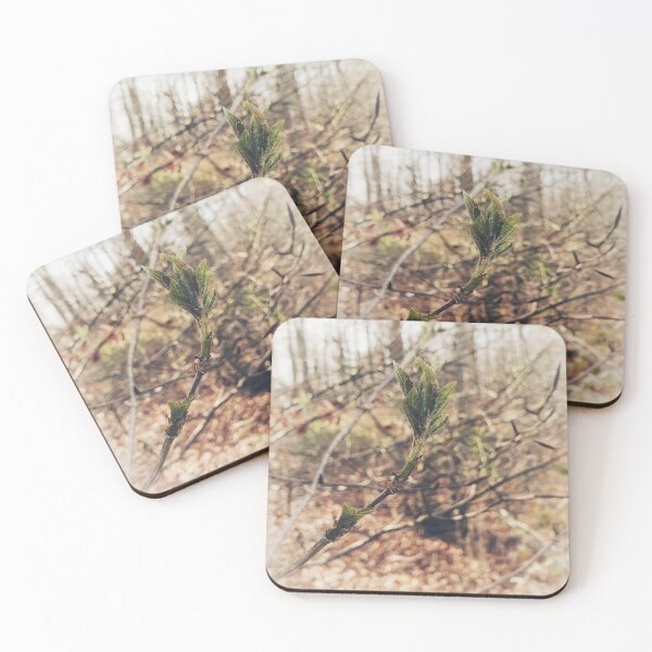 Item preview, Signs of Spring in the Forest designed and sold by Ms-Bexy.