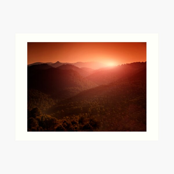 evening Art Print