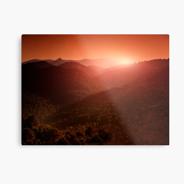 evening Metal Print