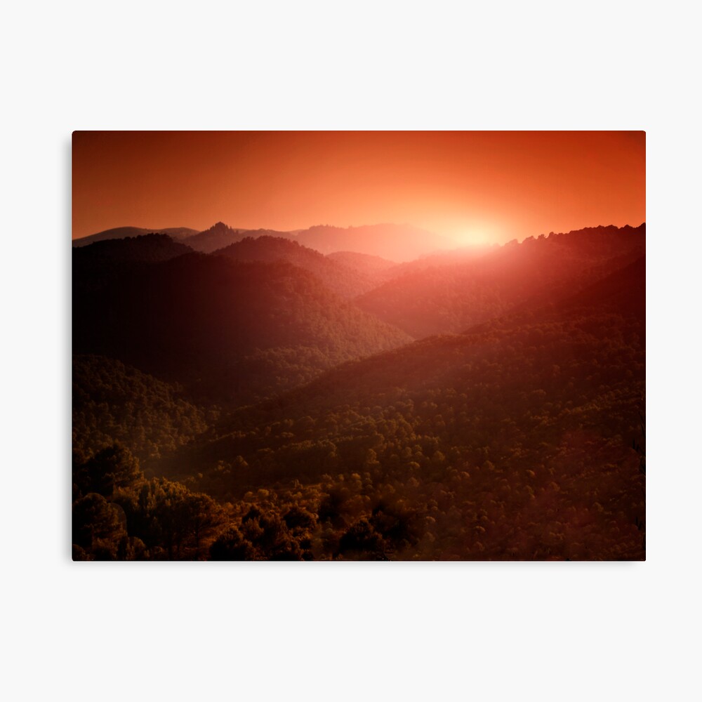 evening Canvas Print